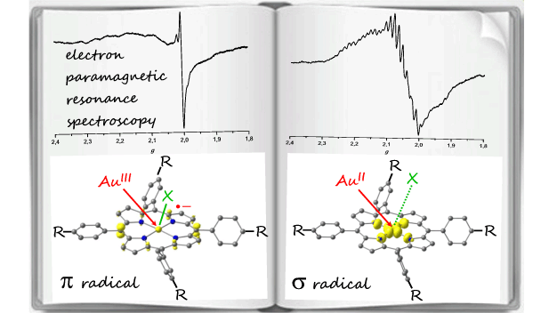 Gold(II) Porphyrin or Gold(III) Porphyrin Radical Anion?