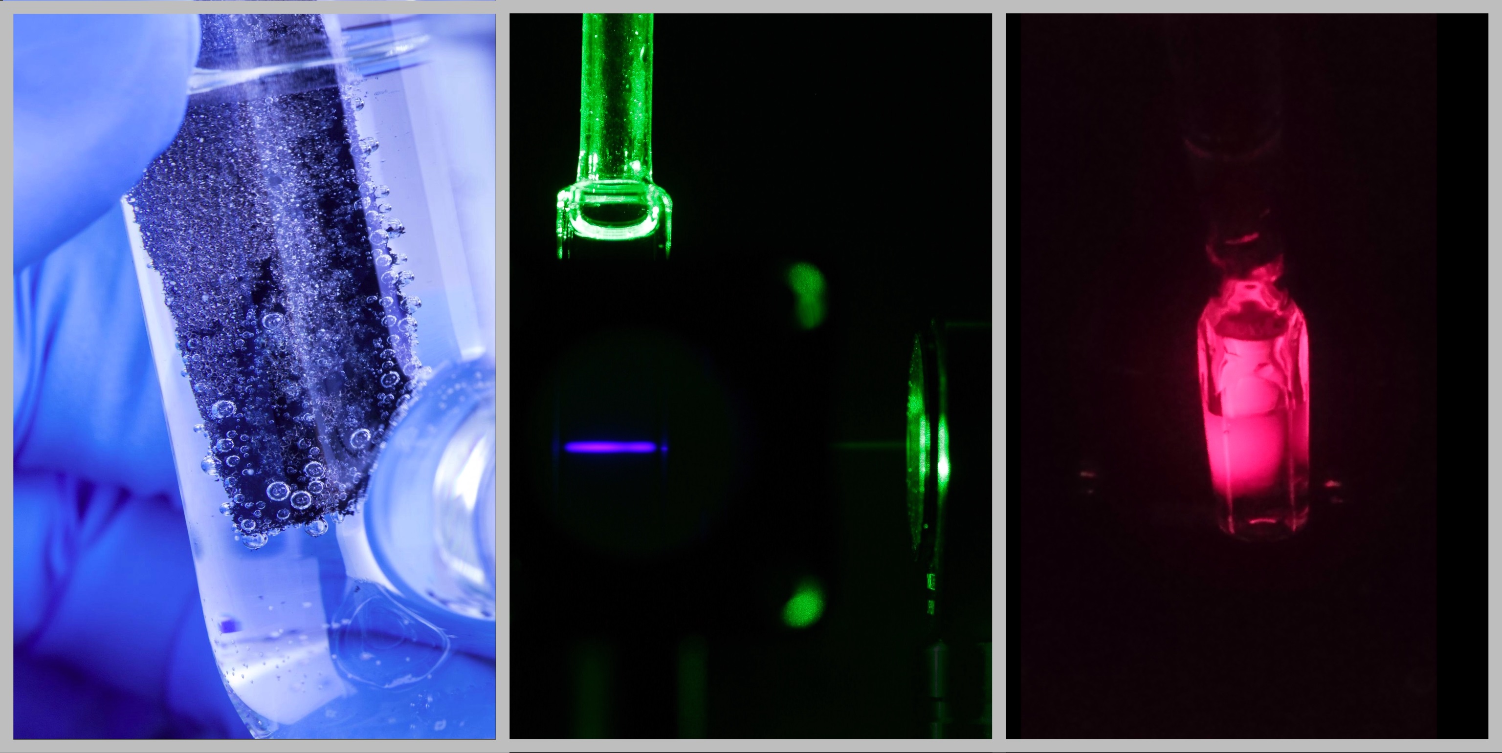 Focus Photochem