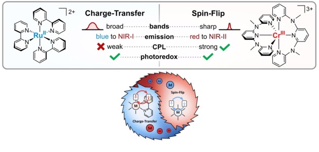 Charge-Transfer and Spin-Flip States: Thriving as Complements