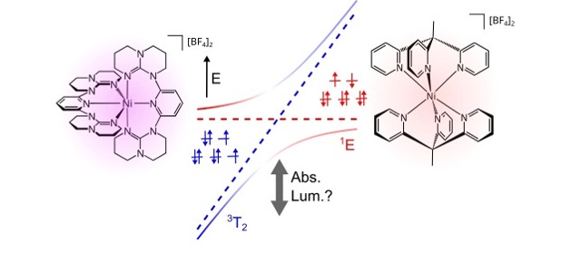 Coupled potential energy surfaces impact the spin-flip transition in nickel(II) complexes