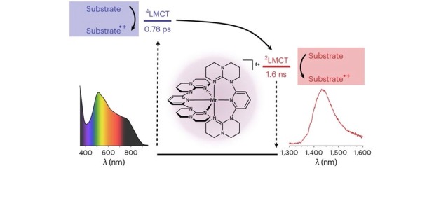 A luminescent Molecular Braunstein is a superphotooxidant